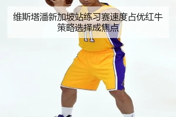 维斯塔潘新加坡站练习赛速度占优红牛策略选择成焦点