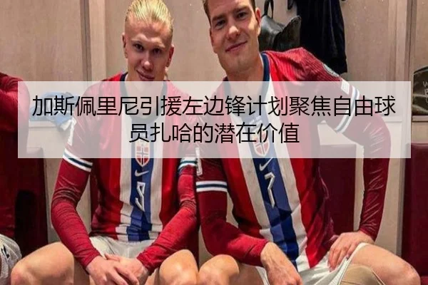 加斯佩里尼引援左边锋计划聚焦自由球员扎哈的潜在价值